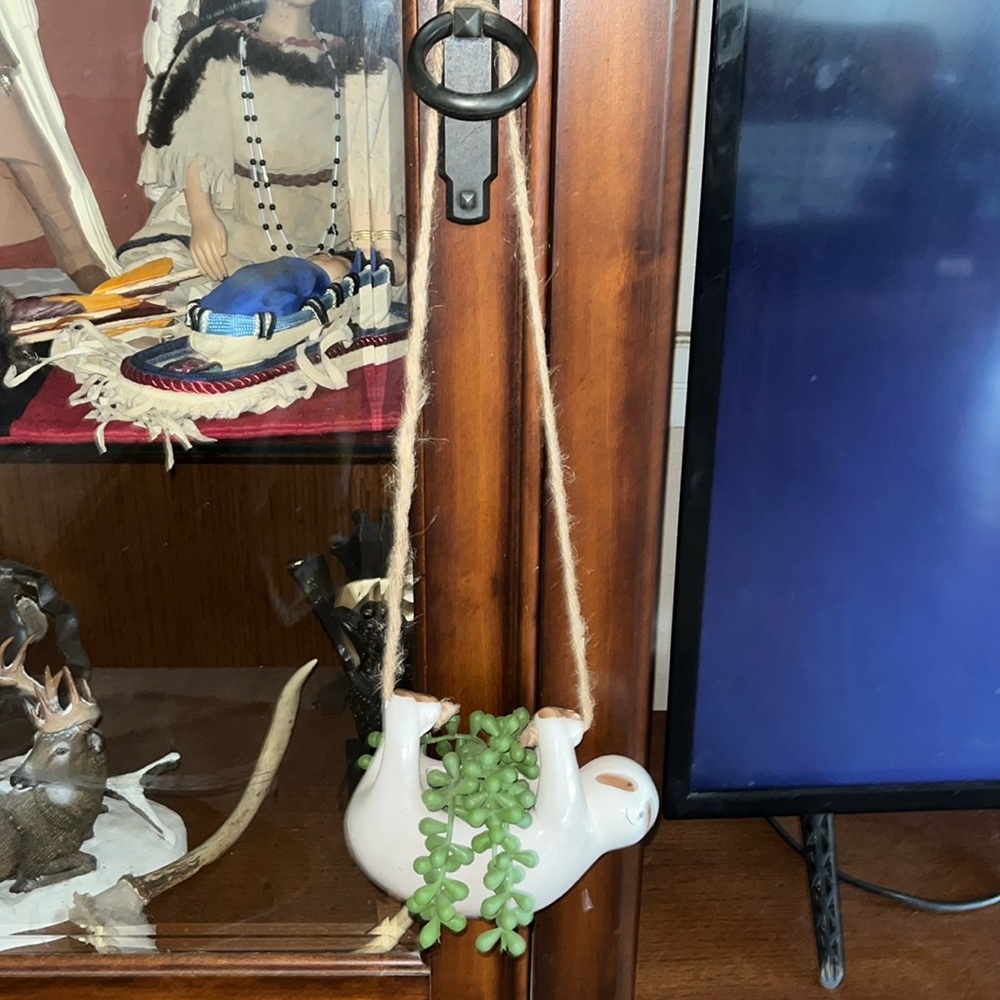A plant sloth wall decor